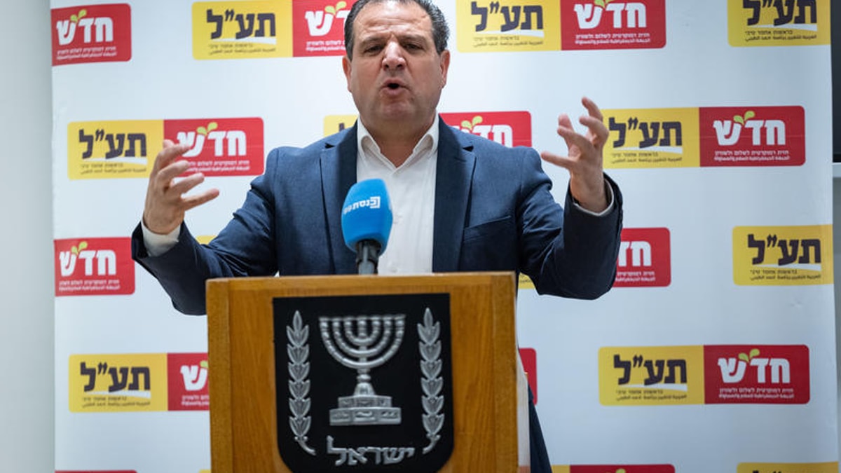 פריימריז חד