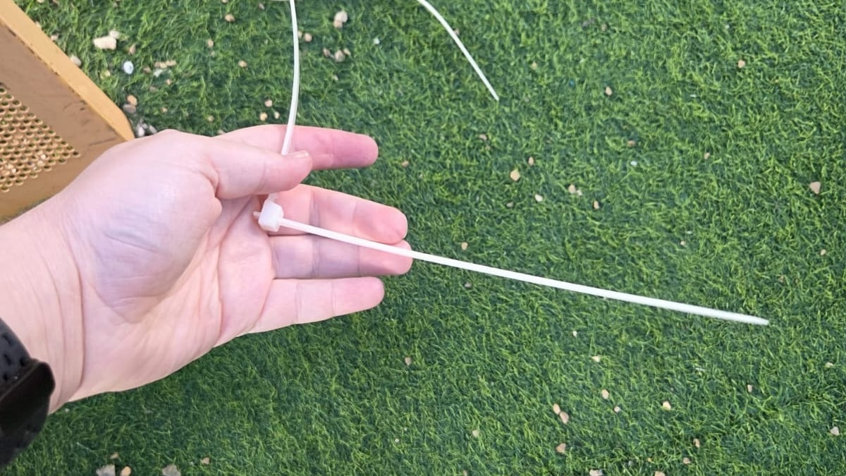 ילדים נמצאו עם אזיקונים סגורים סביב צוואריהם בחיידר החרדי | בבלי